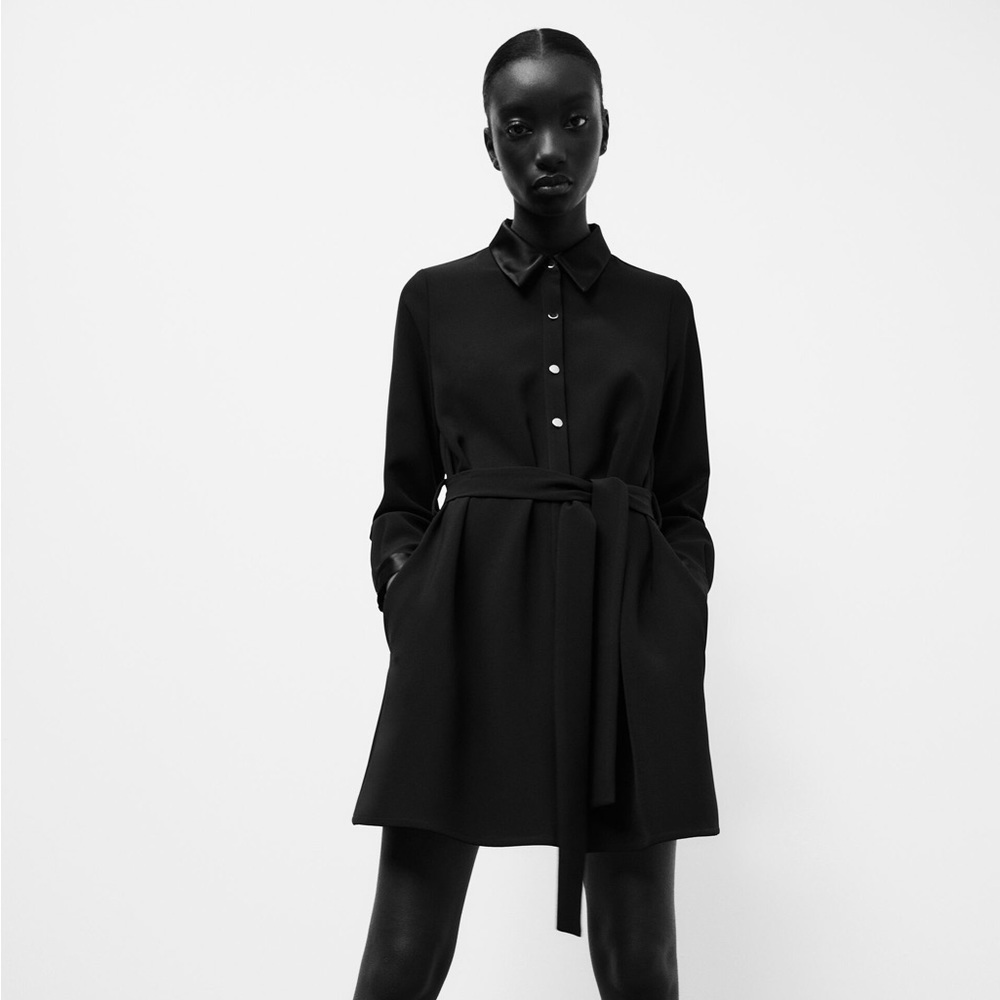 Zara Belted Shirt Dress